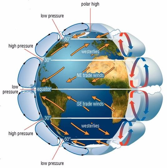 the globe with drowings explaining the trade winds