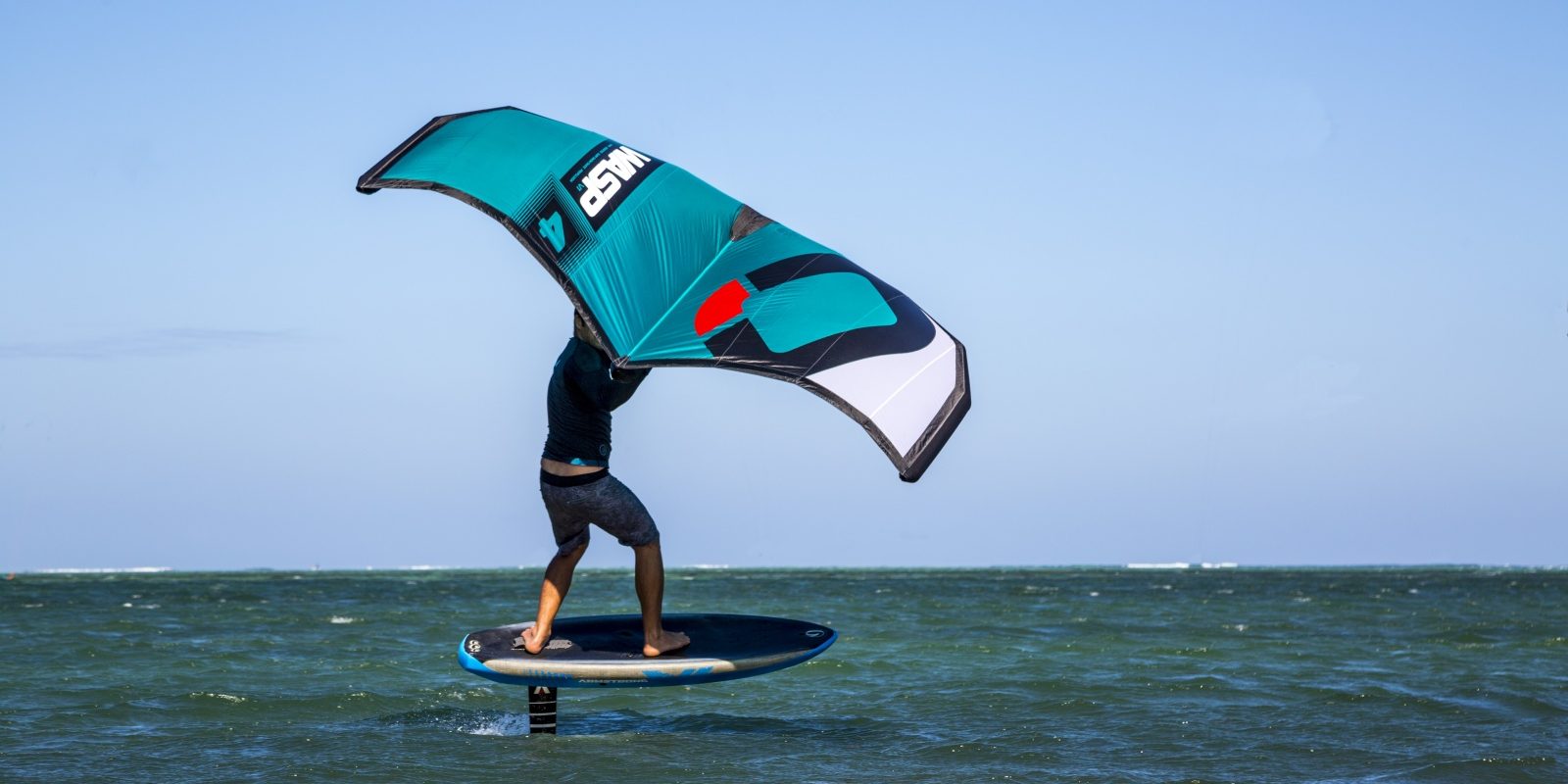 Foil wing kite cheap
